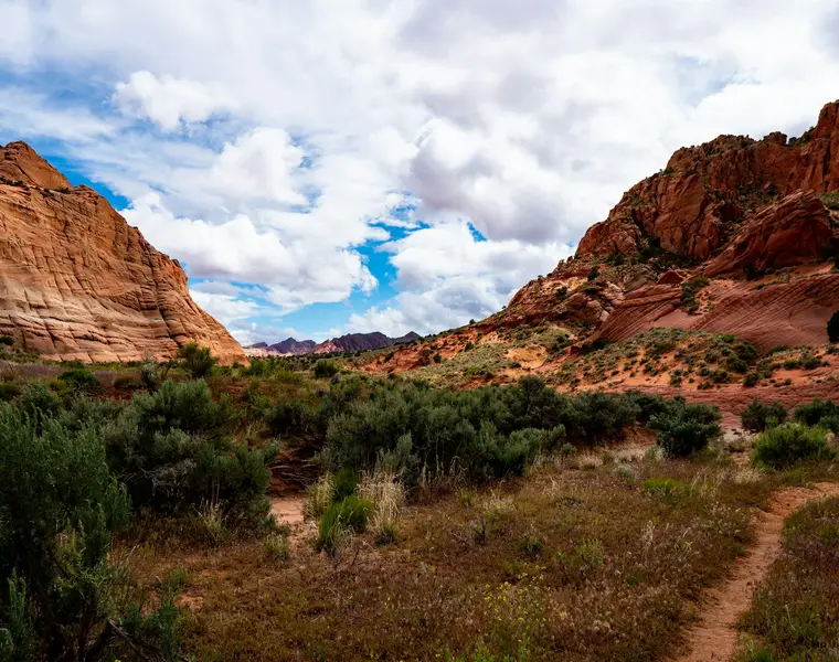 Layered desert landscape