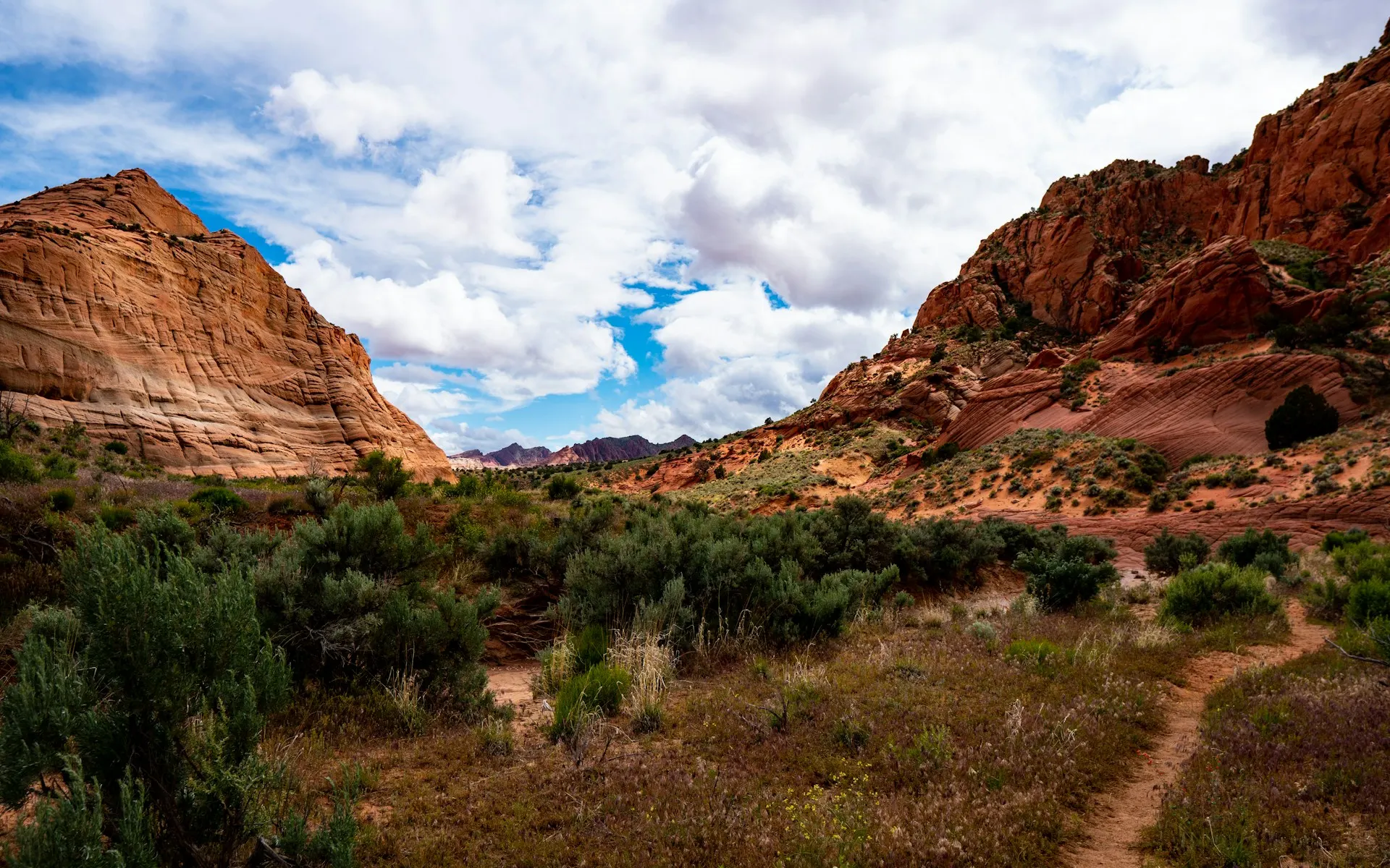 Sandstone landscape